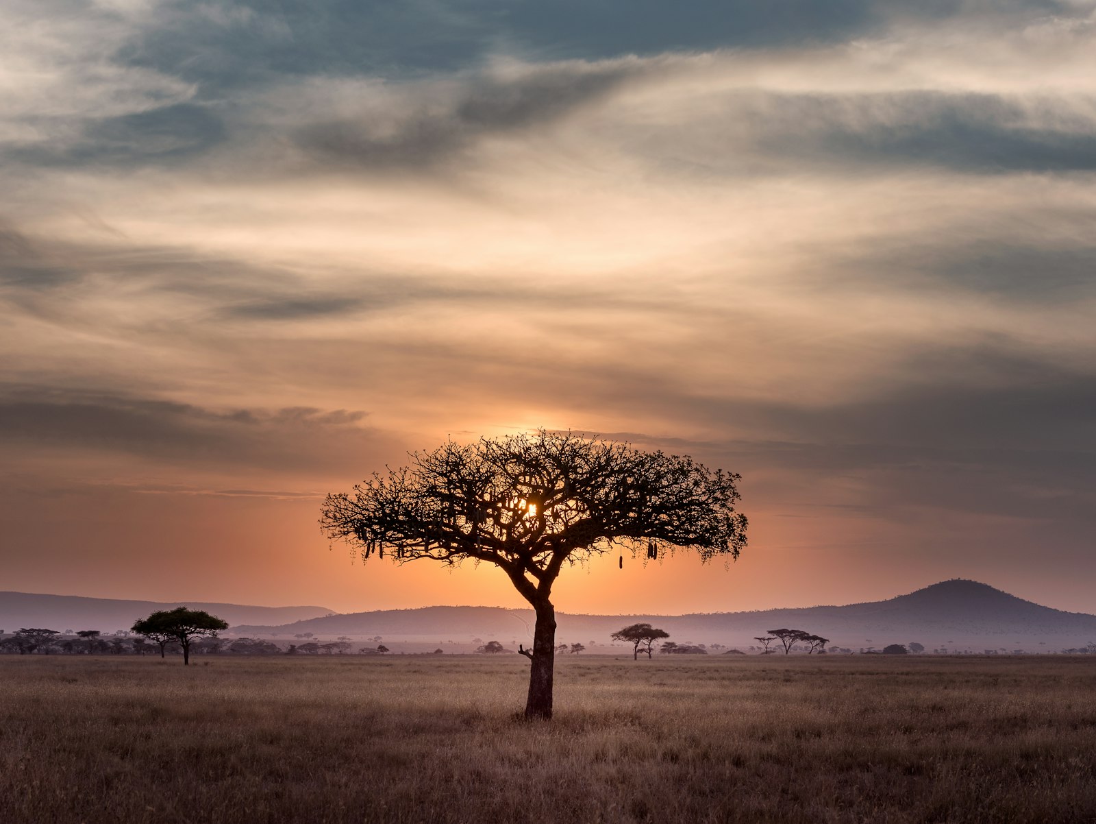 African Hospitality: Spotlight on Growing Markets and Opportunities Across the Continent